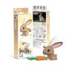 EUGY 650071 Bastelset 3D-Tierfigur "Hase" Carletto 1 EUGY 650071 Bastelset 3D-Tierfigur "Hase" Carletto -Le Toy Van Geschäft 650071